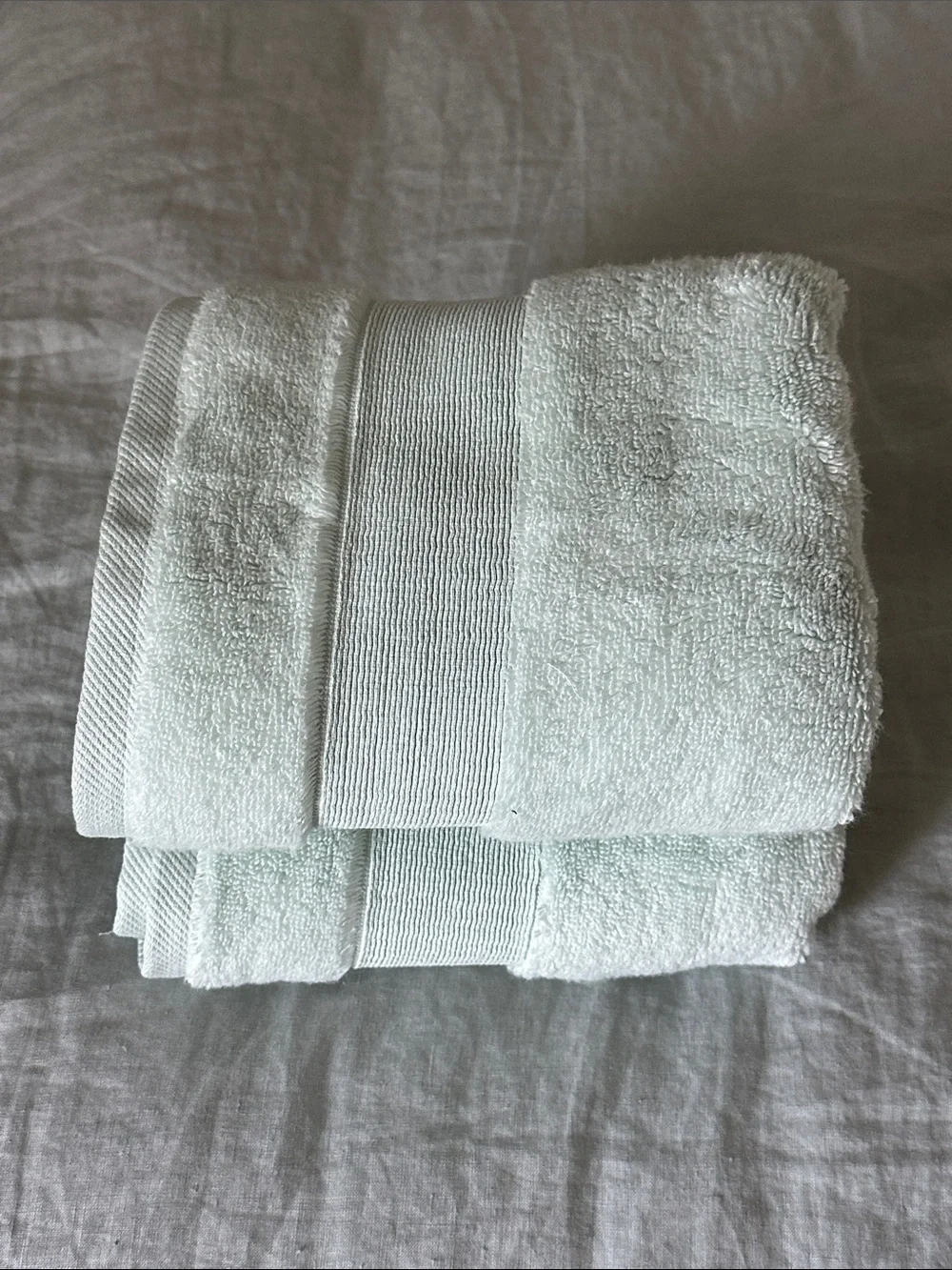 Quince Light Mint Hand Towels - Soft Plush Set